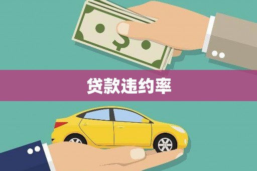 衡山贷款违约率