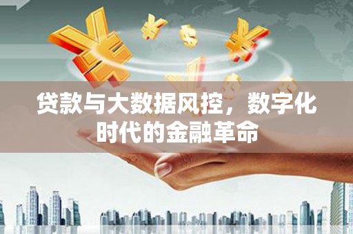 衡山贷款与大数据风控，数字化时代的金融革命
