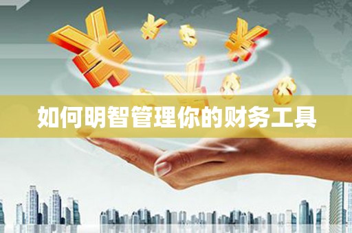 衡山如何明智管理你的财务工具