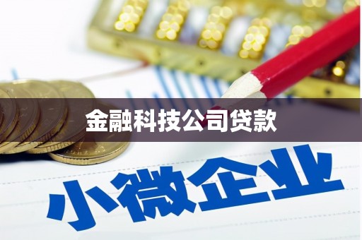 衡山金融科技公司贷款