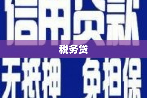 衡山税务贷