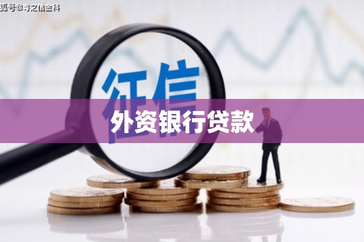 衡山外资银行贷款
