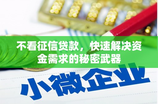 衡山不看征信贷款，快速解决资金需求的秘密武器