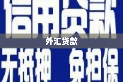 衡山外汇贷款