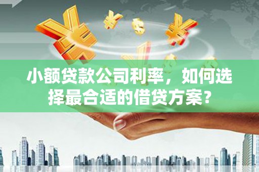 衡山小额贷款公司利率，如何选择最合适的借贷方案？