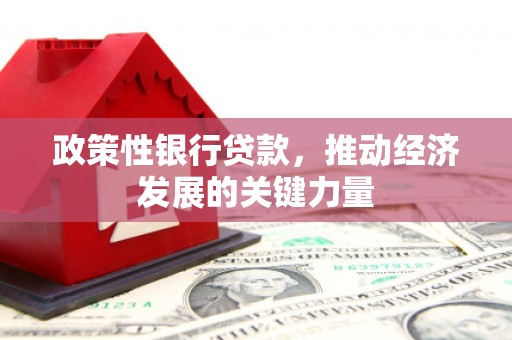 衡山政策性银行贷款，推动经济发展的关键力量
