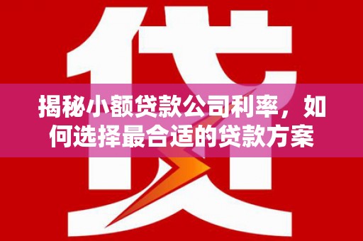 衡山揭秘小额贷款公司利率，如何选择最合适的贷款方案