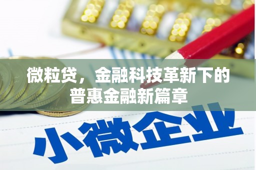 衡山微粒贷，金融科技革新下的普惠金融新篇章