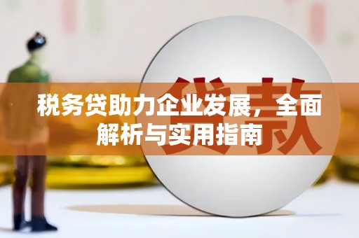 衡山税务贷助力企业发展，全面解析与实用指南