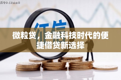 衡山微粒贷，金融科技时代的便捷借贷新选择