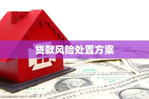 衡山贷款风险处置方案