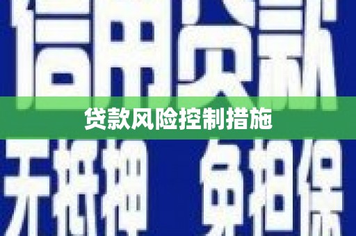 衡山贷款风险控制措施