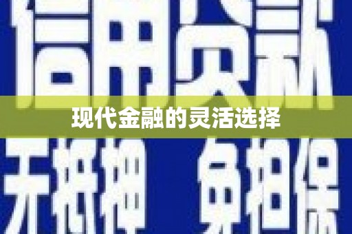 衡山现代金融的灵活选择
