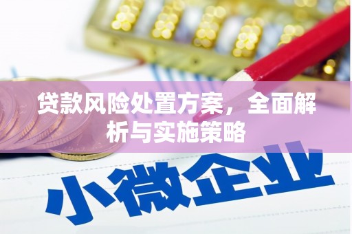 衡山贷款风险处置方案，全面解析与实施策略